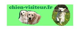 chien-visiteur.fr - site consacré à l'activité chien visiteur